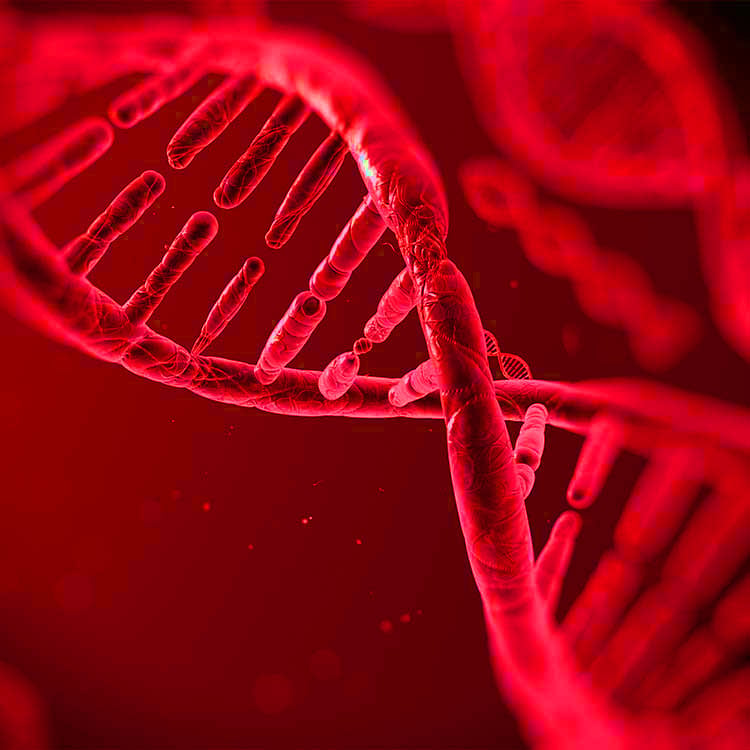DNA